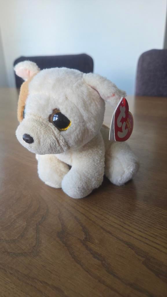 Ty Beanie Boo's Houghie de Chihuahua knuffel, Meerkleurig, Klein (minder dan 20 cm), Ty, Hond