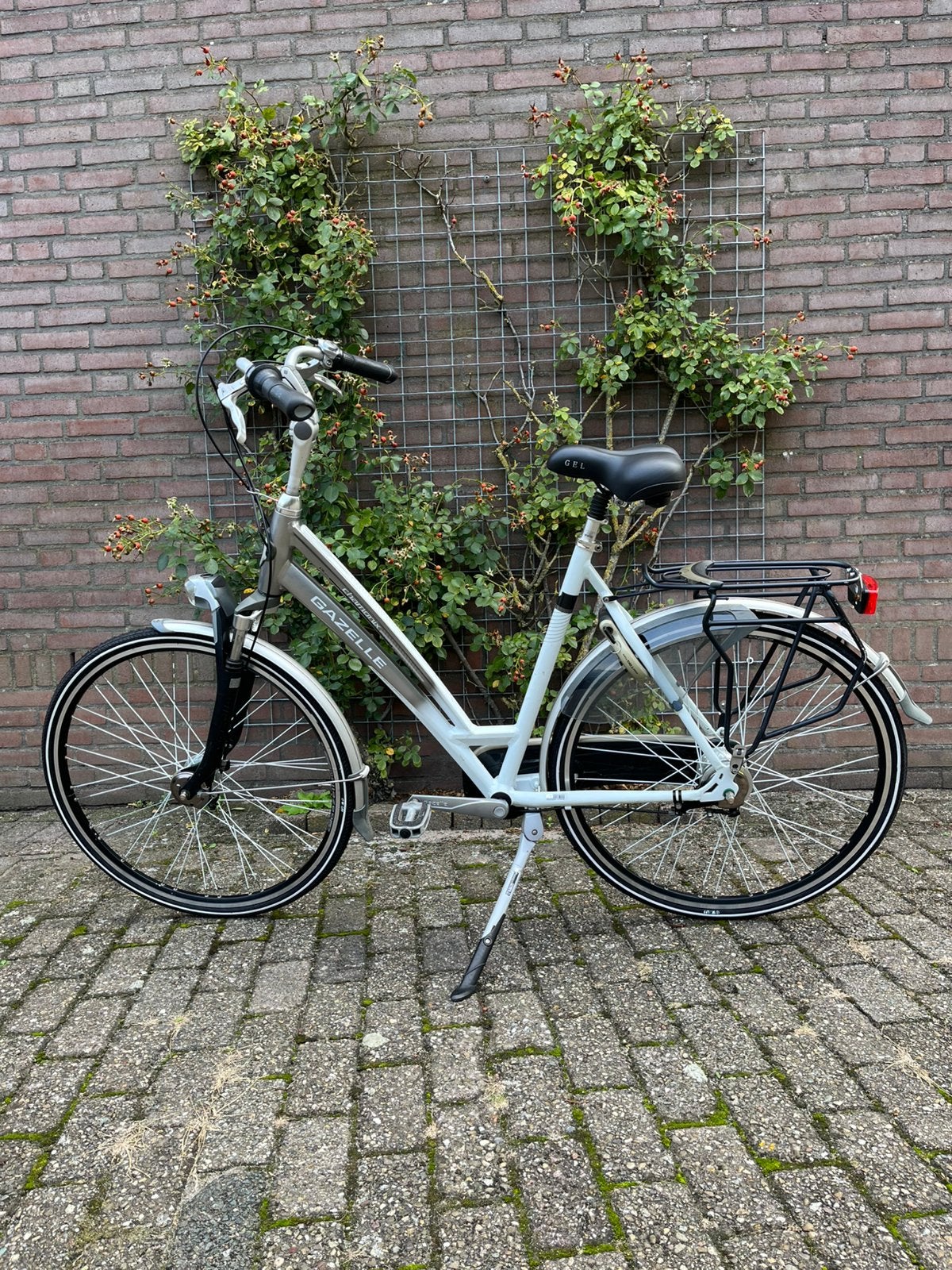 Fijne Gazelle Chamonix damesfiets, Ophalen, Gebruikt, -, -