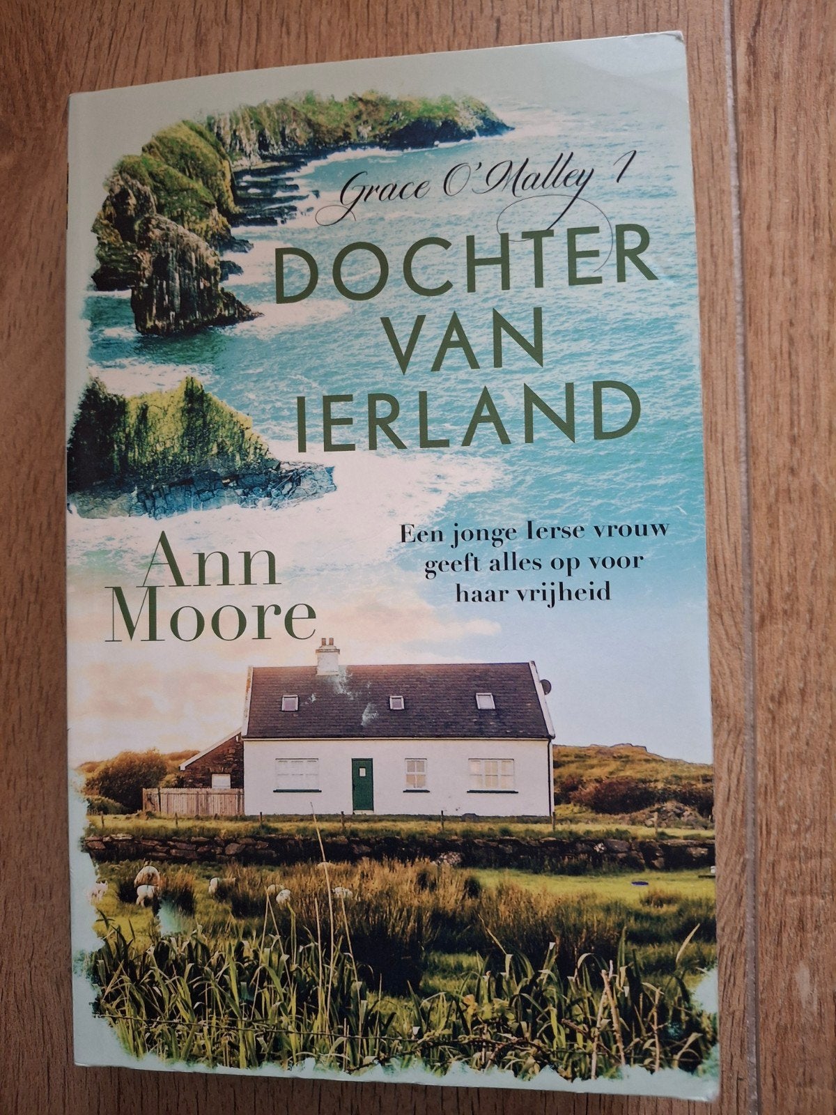 Ann Moore - Dochter van Ierland, Ophalen of Verzenden, Zo goed als nieuw, Ann Moore