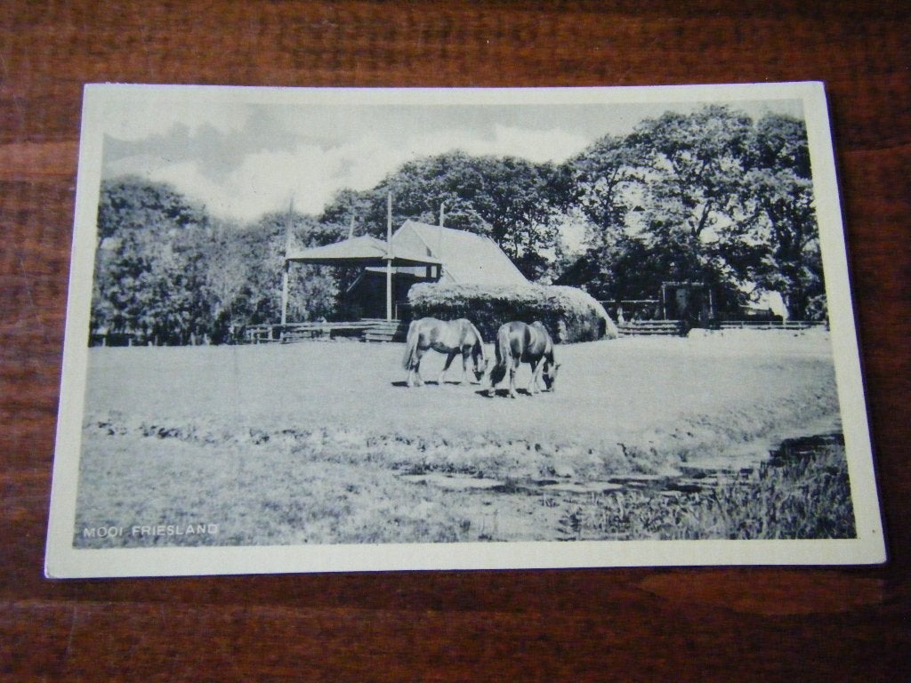 A41 - Friesland - Boerderij - Paarden - 1945 - Mooi/Oud, Ophalen of Verzenden, 1940 tot 1960, Friesland