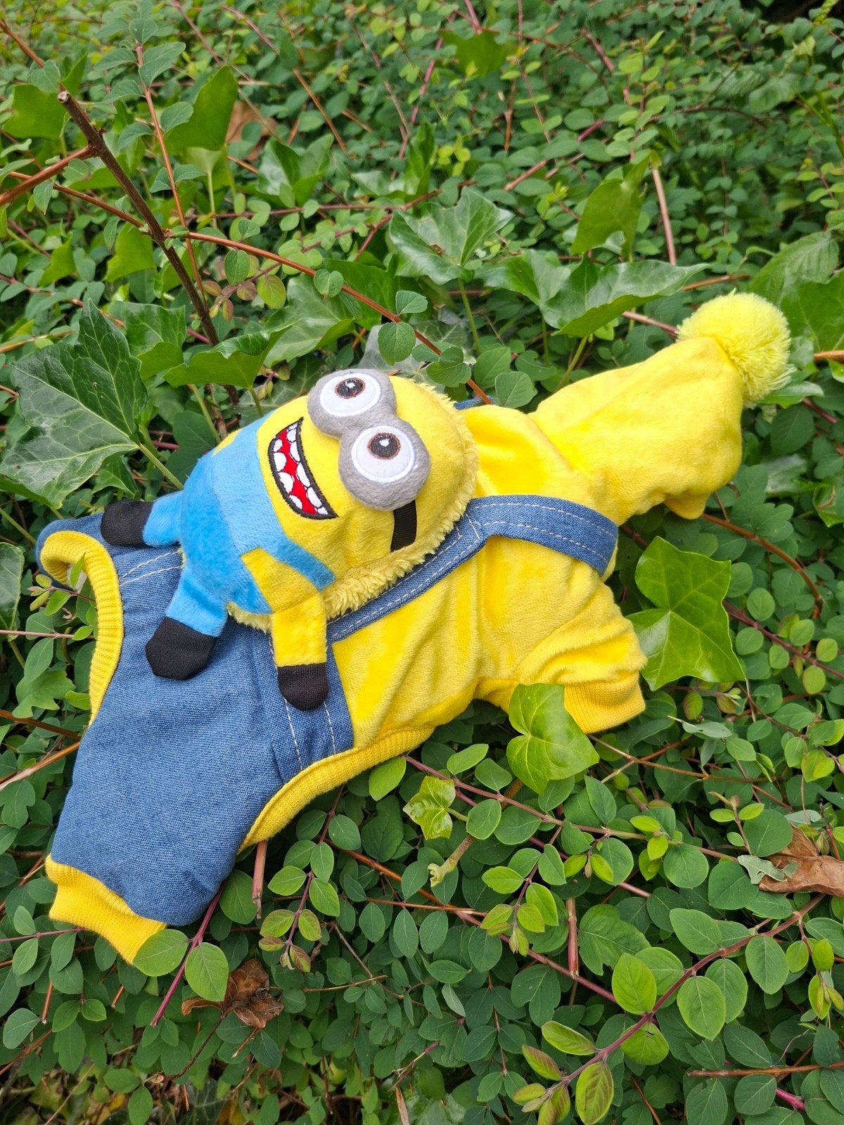 Funny clothes minion for mini dog, Ophalen of Verzenden