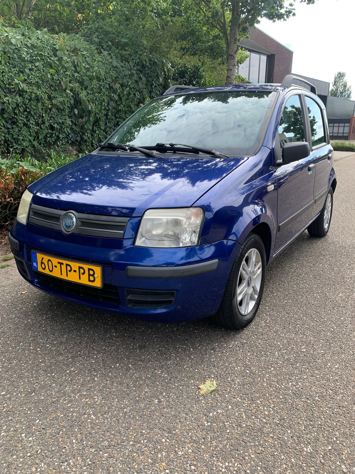 Fiat Panda 1.2 Dualogic 2006 Blauw