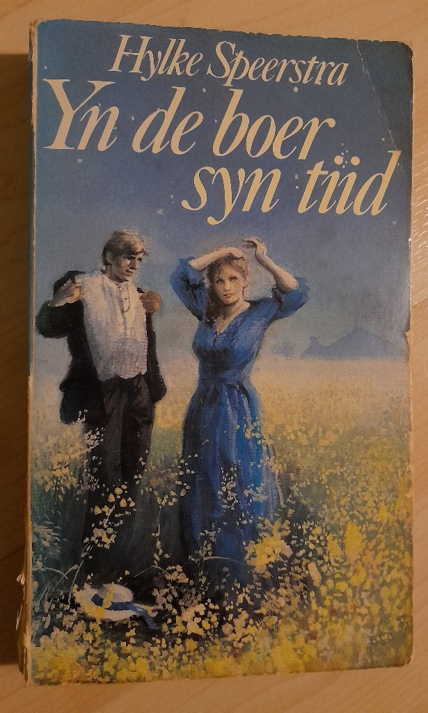 YN DE BOER SYN TIID Hylke Speerstra Gurbe rige nr 25 fries, Ophalen of Verzenden, Gelezen, Nederland