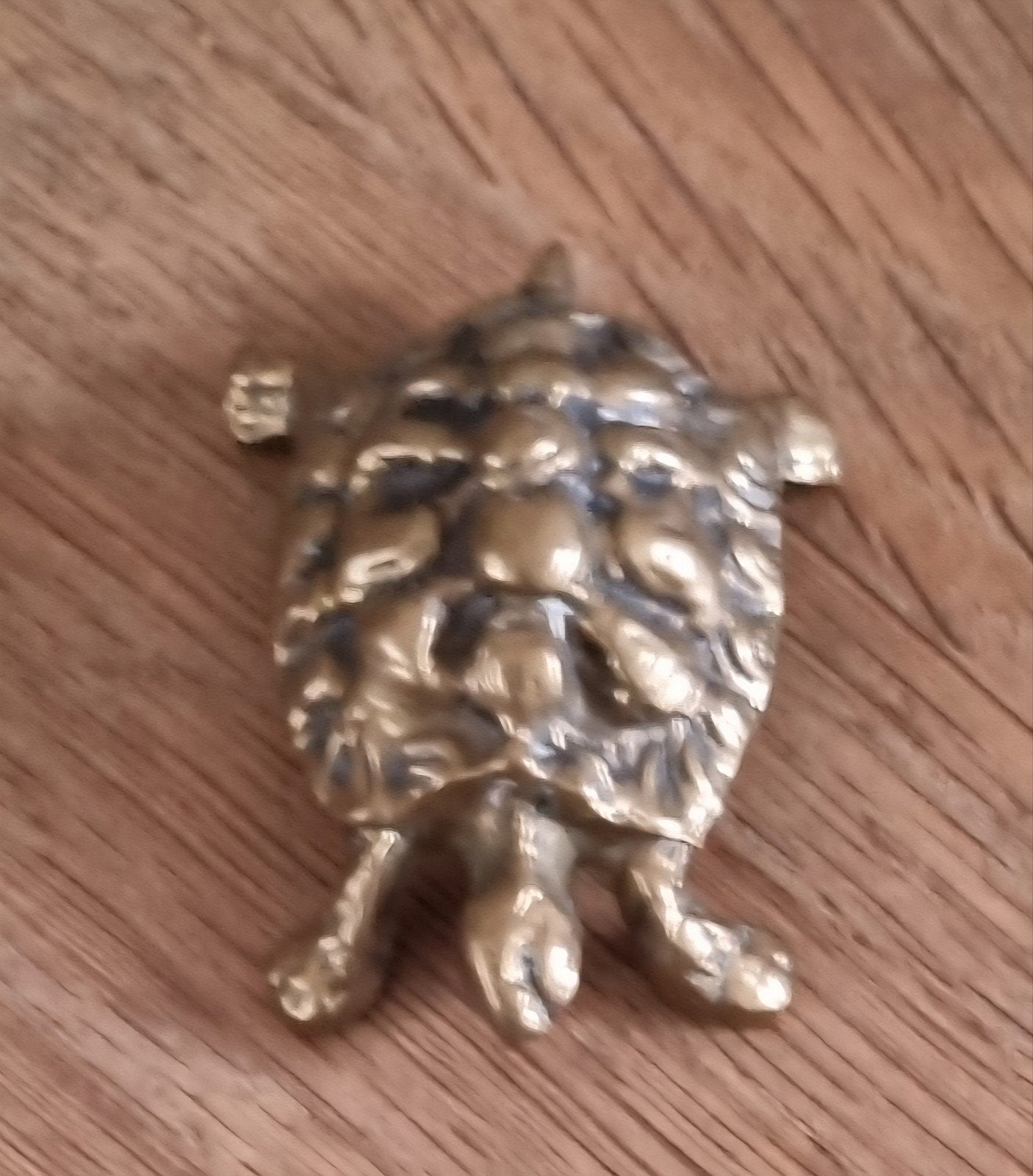 Antieke messing koperen schildpad., Ophalen of Verzenden
