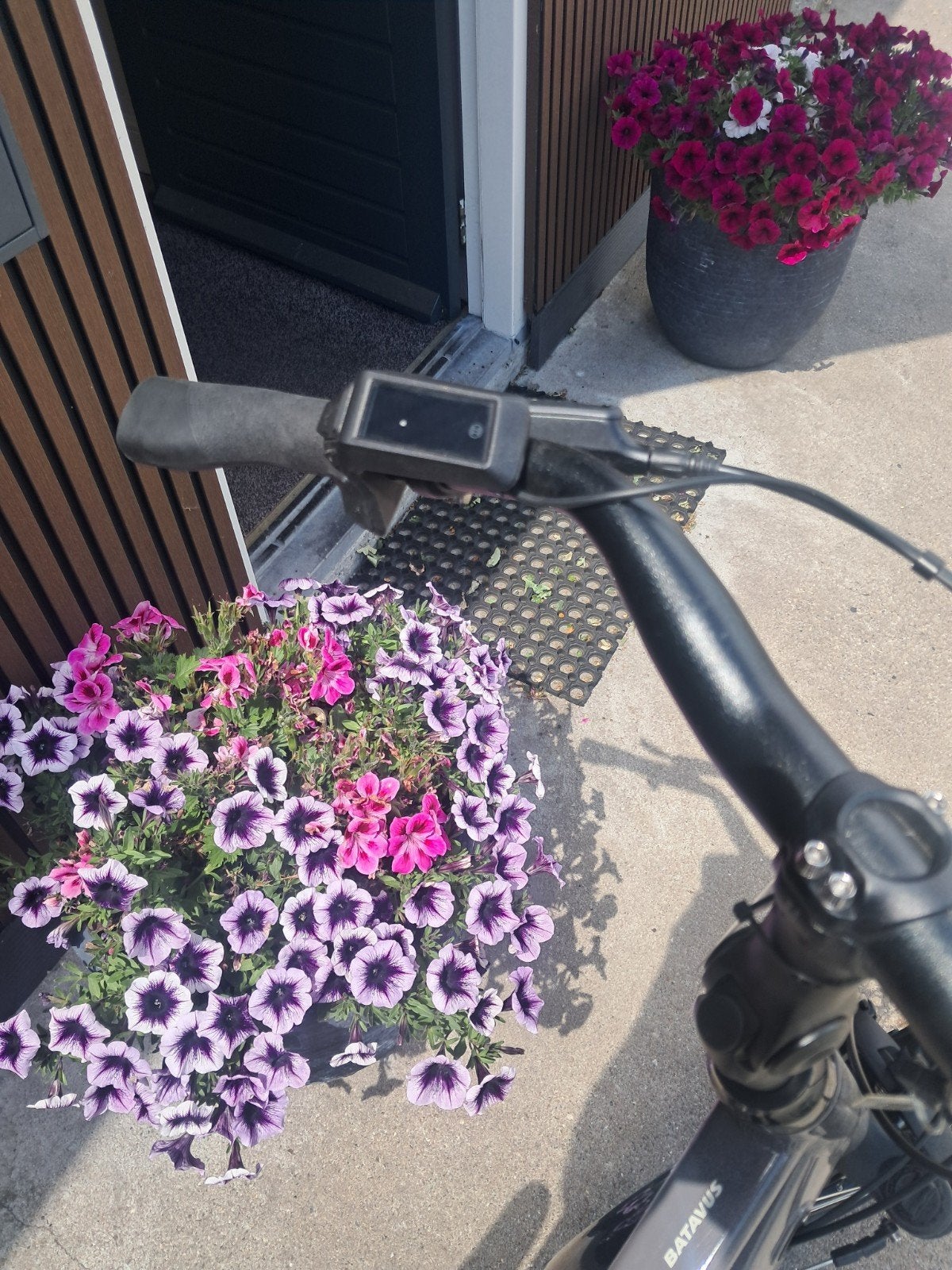 Batavus Altura  Bosch  active line van€ 2399, -nu 1999,-, 53 tot 57 cm, Ophalen, Nieuw, Batavus
