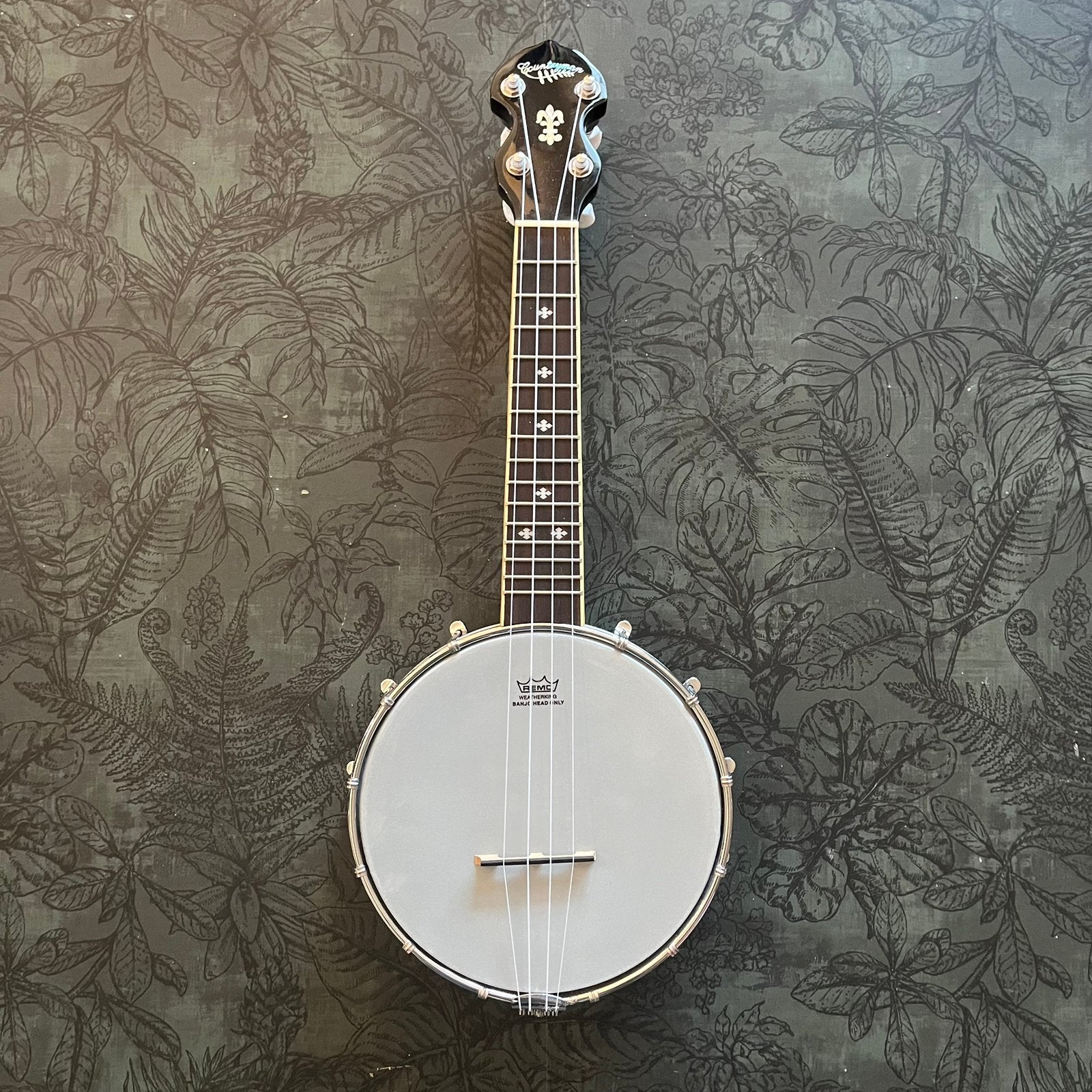 Banjolele / Ukelele banjo, Ophalen of Verzenden, Zo goed als nieuw, Overige typen