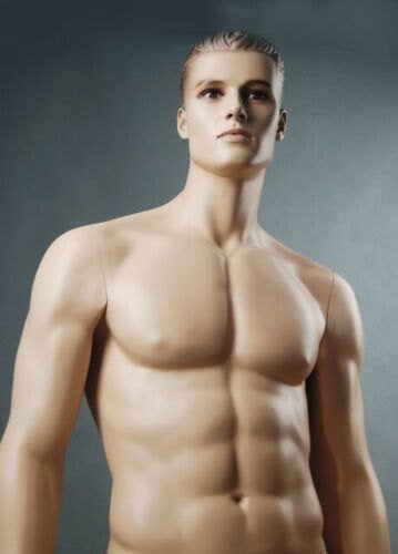 Stoere Grote Etalagepop Mannequin Paspop Bodybuilder 2026, Ophalen of Verzenden, Nieuw