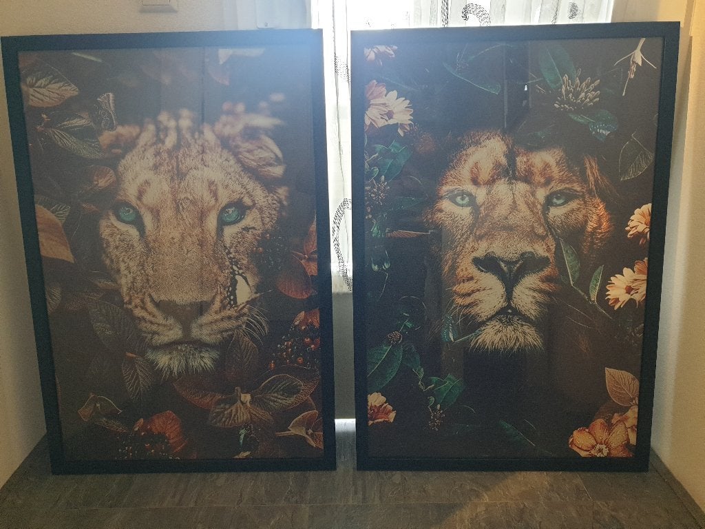 2 Fotolijsten met leeuw en leeuwin, Huis en Inrichting, Ophalen, Zo goed als nieuw, Minder dan 50 cm, Schilderij