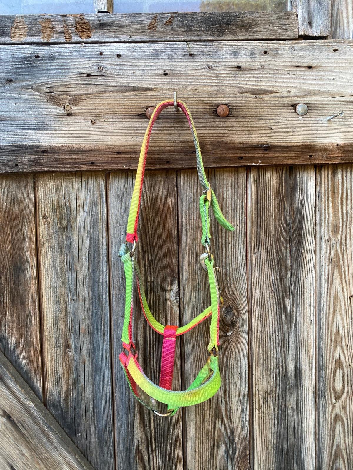 Regenboog halster maat Cob, Ophalen of Verzenden, Gebruikt, Halster, Cob