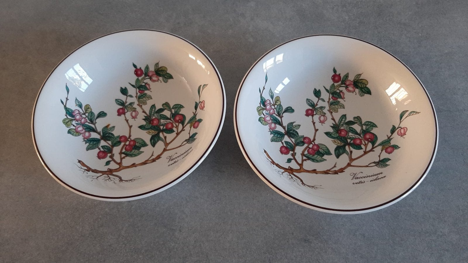 Villeroy & Boch botanica vaccinium schaaltjes vitro, Ophalen of Verzenden, Overige stijlen, Porselein, Schaal of Schalen
