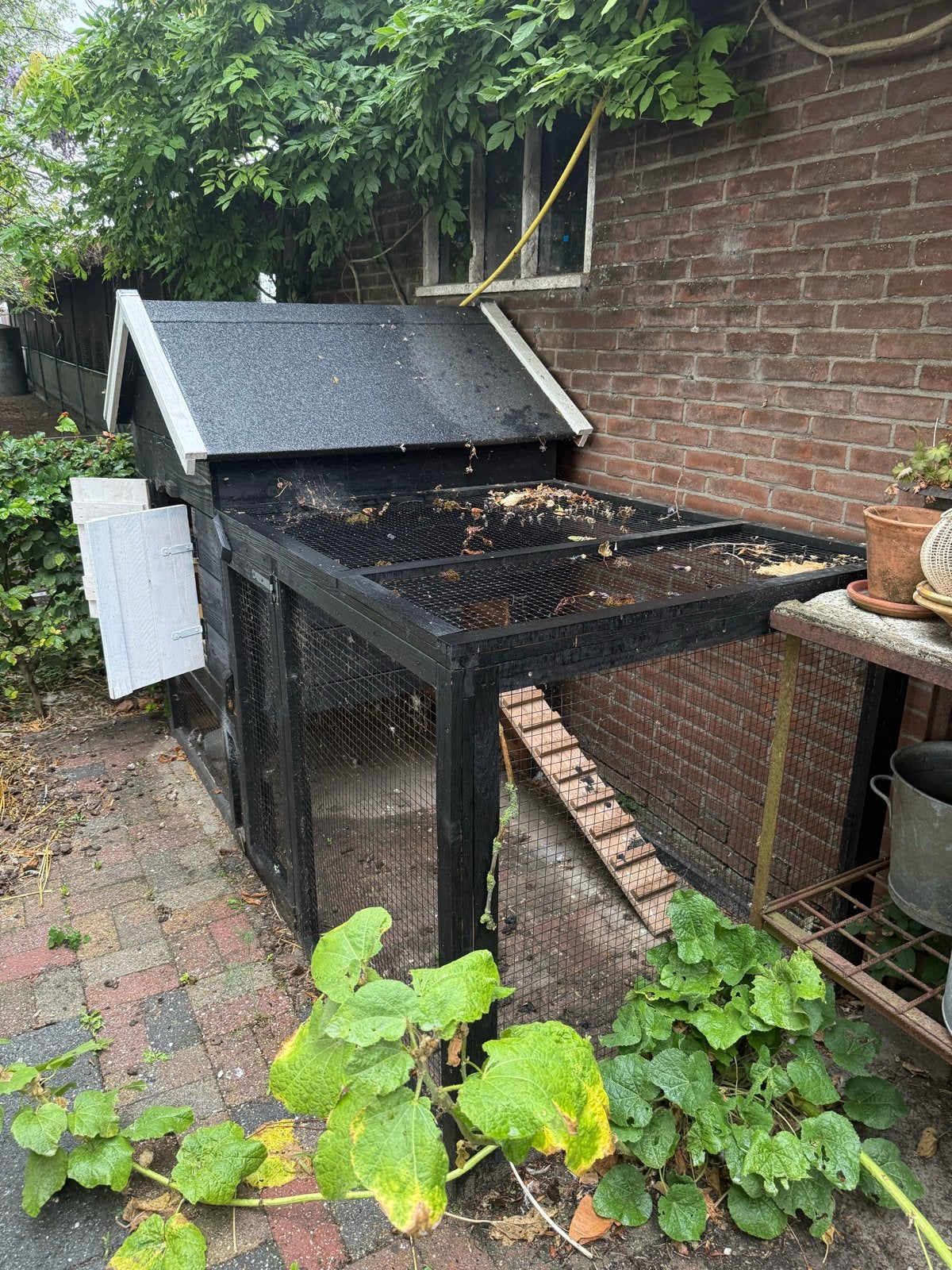 Kippenhok mei 2026, Ophalen, Nieuw, Kippenhok of Kippenren