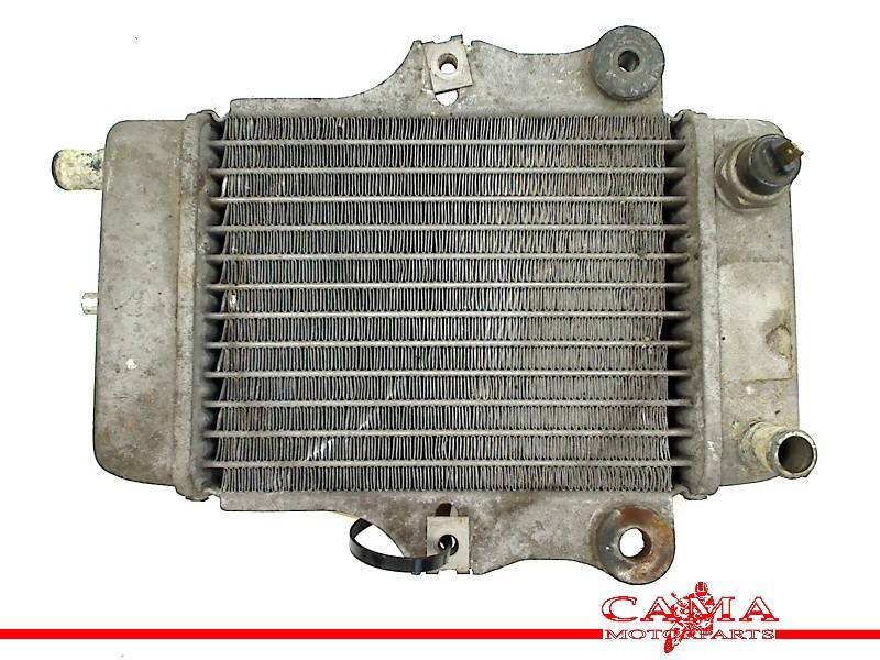 Radiateur Honda SES 150 Dylan (SES150) (1970-01/..) 614030, Honda, Gebruikt, Hanauer Landstraße  222-224, Frankfurt am Main 60314, , Duitsland