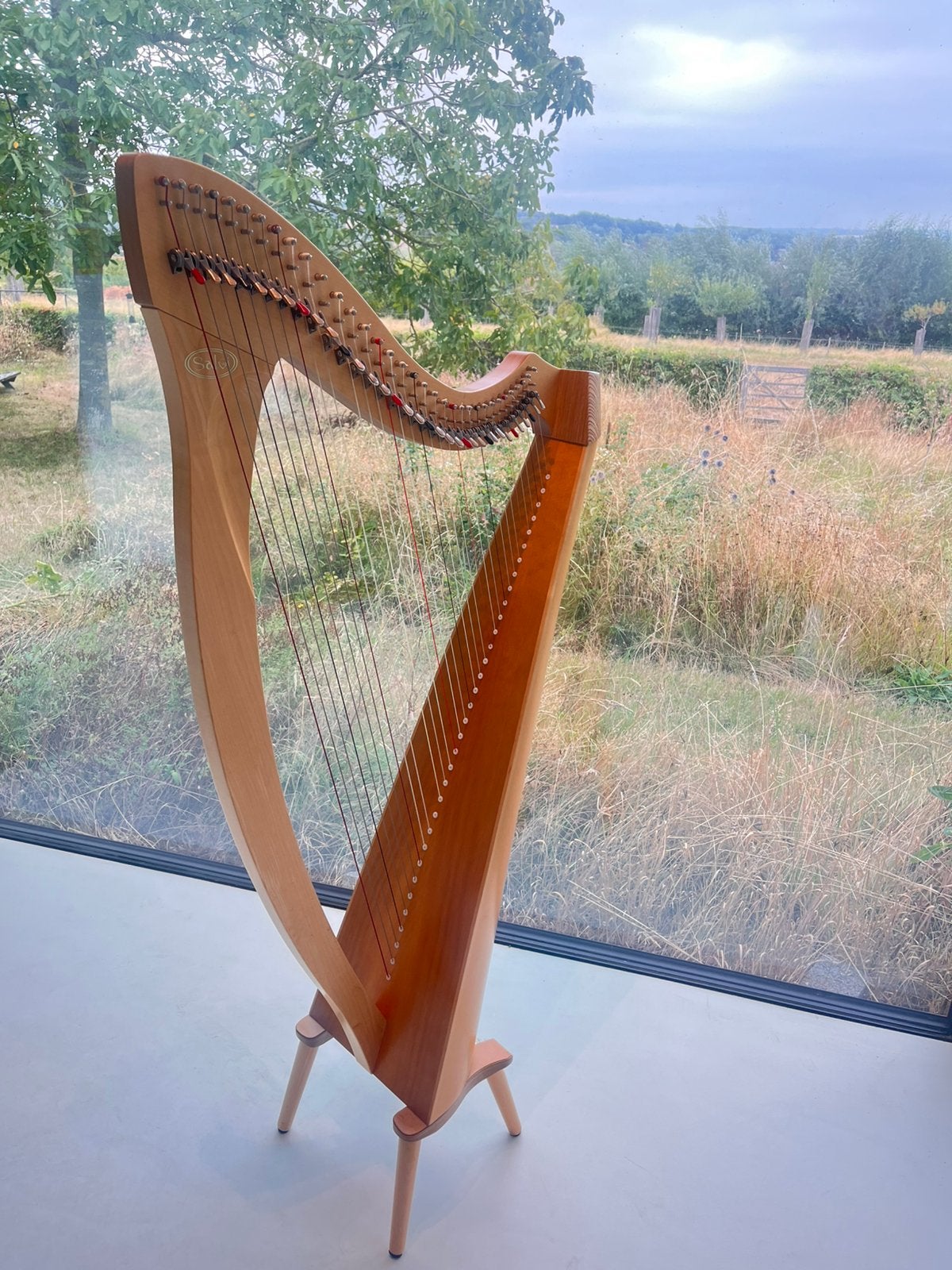 Harp Salvi Aida, Muziek en Instrumenten, Snaarinstrumenten | Harpen, Ophalen, Zo goed als nieuw