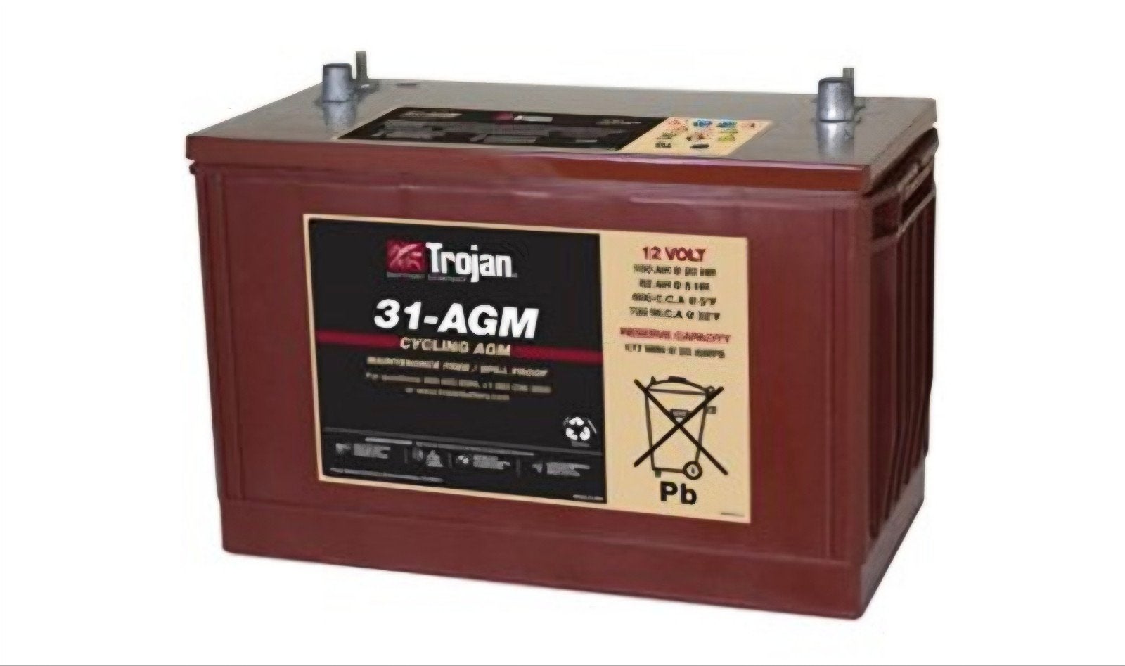 2x Trojan 31-AGM 12V Deep Cycle Accu's, Ophalen, Gebruikt, Overige automerken