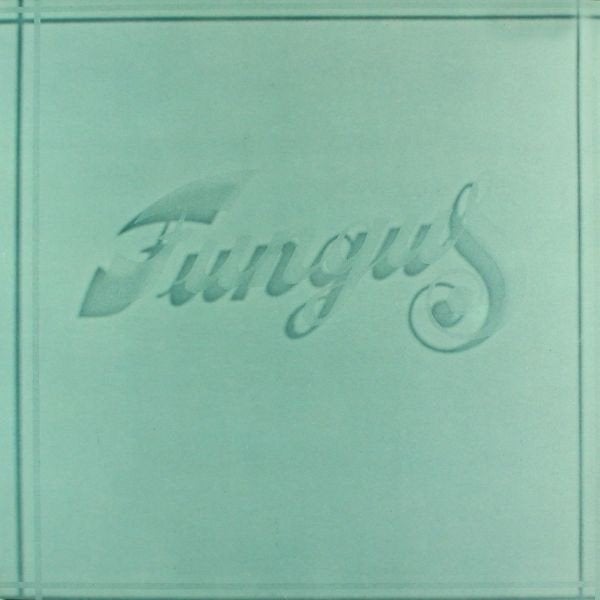 Fungus – Fungus, LP, Gebruikt, Ophalen of Verzenden, 12 inch