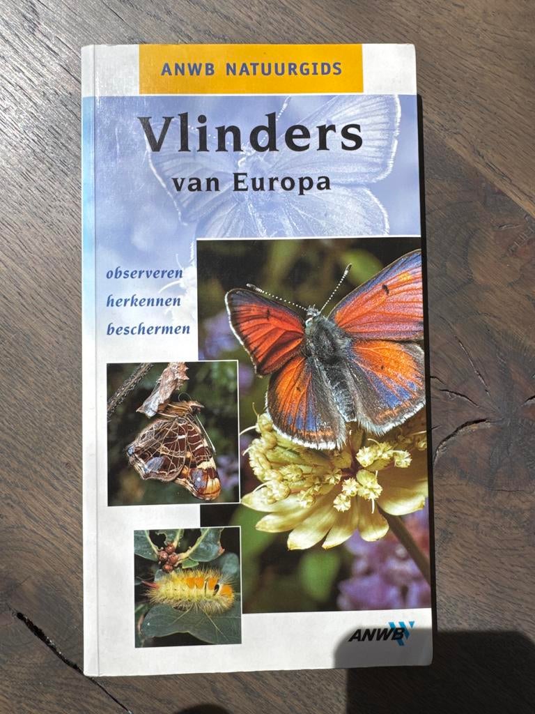 ANWB Natuurgids Vlinders van Europa, Ophalen of Verzenden, Gelezen, Natuur algemeen