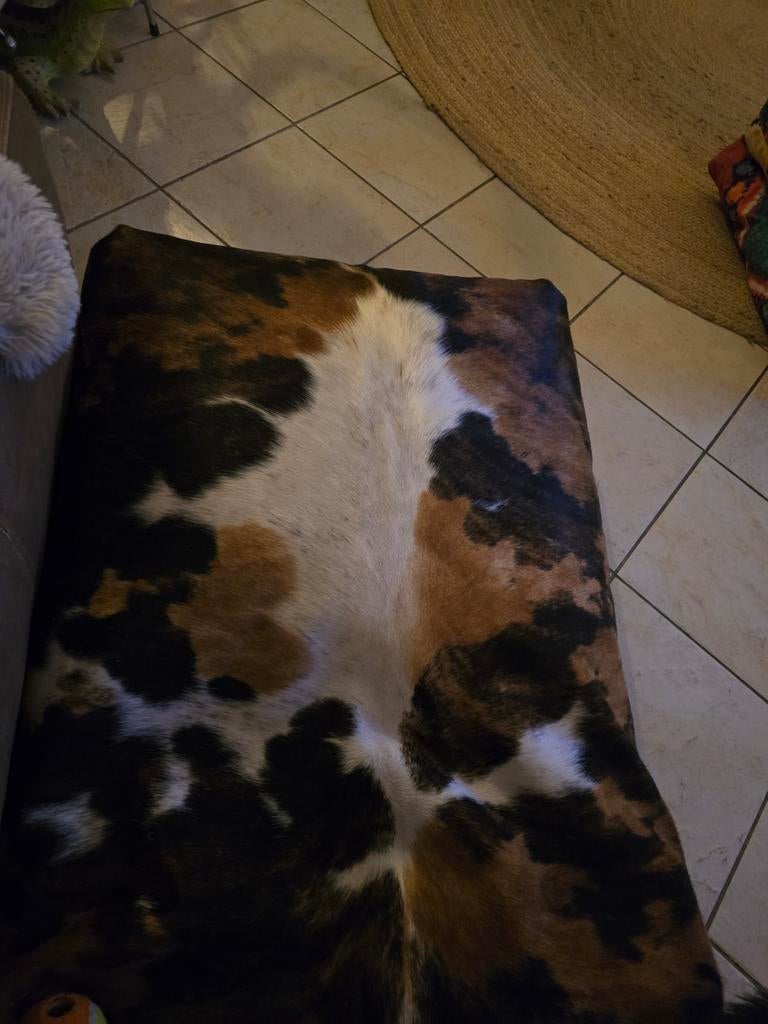 Groot honden kussen van koeienhuid, Dieren en Toebehoren, Ophalen of Verzenden, Nieuw