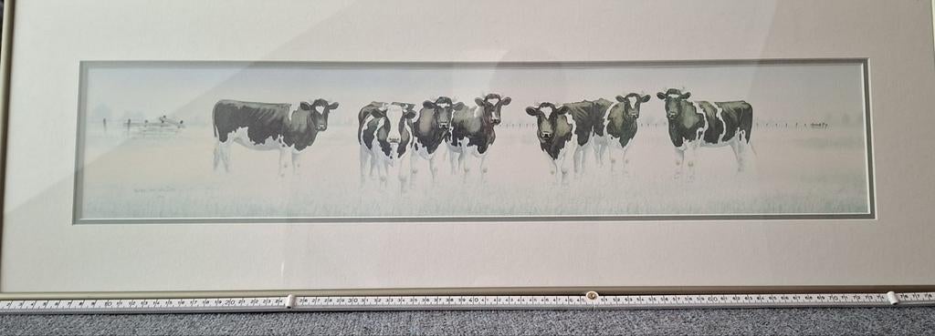 Schilderij koeien in de wei, Antiek en Kunst, Ophalen