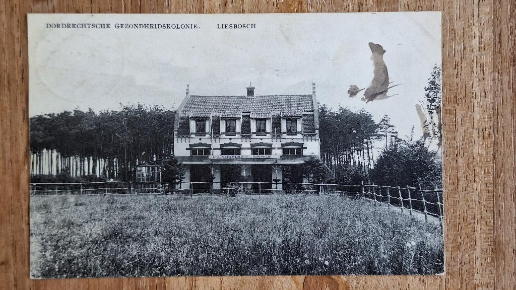 ansichtkaart Breda Princenhage Dordrechtsche Kolonie vlek, Ophalen of Verzenden, 1920 tot 1940, Gelopen, Noord-Brabant