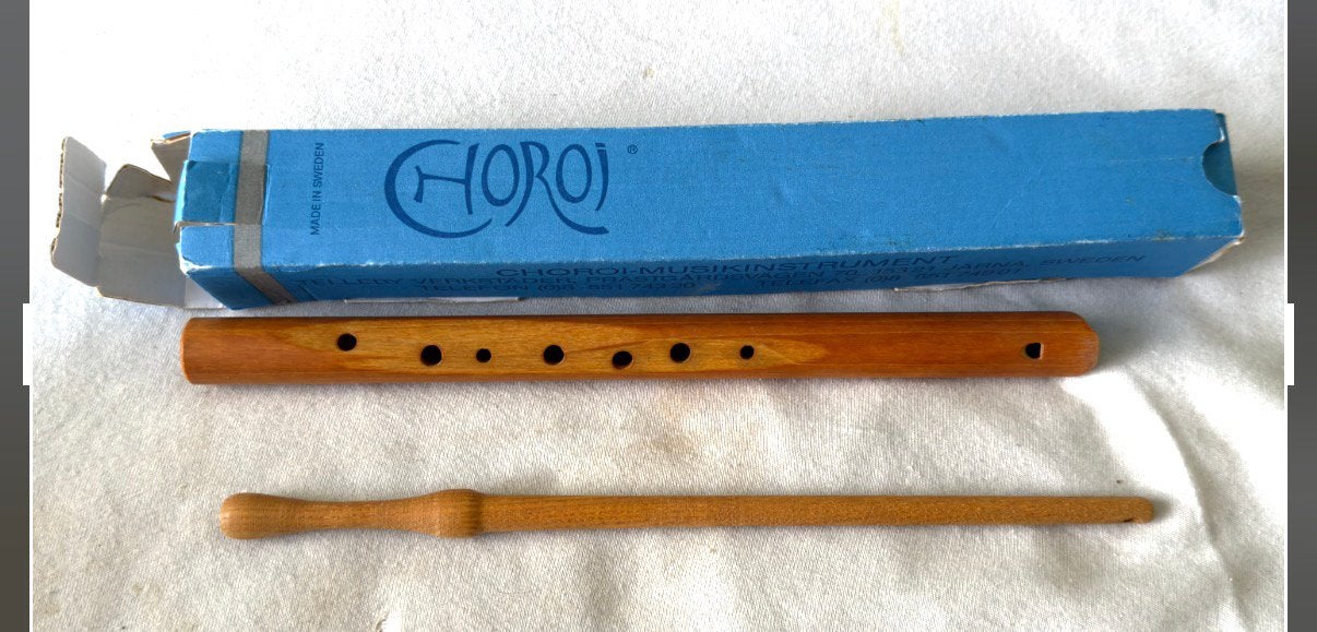 Antroposofische fluit, Ophalen of Verzenden, Gebruikt