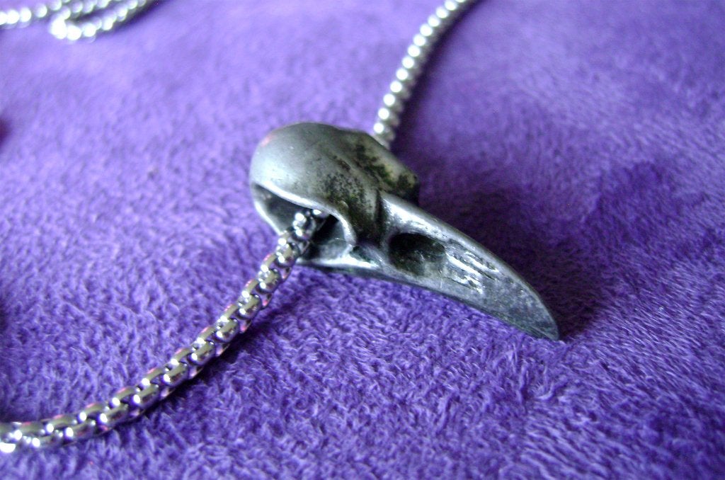 kraai vogelschedel skull ketting alchemy gothic heks occult, Verzenden, Zo goed als nieuw, Zilver, Overige materialen