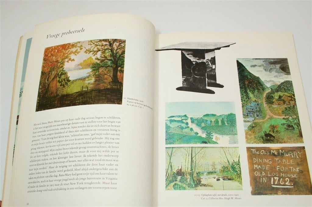 Grandma Moses — Naïeve Amerikaanse Volkskunst, Ophalen of Verzenden, Gelezen