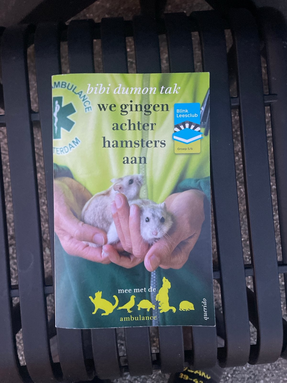 We gingen achter hamsters aan - Bibi Dumon Tak, Boeken, Ophalen of Verzenden, Gelezen, Fictie algemeen