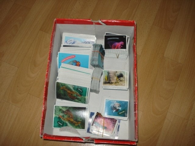 OCEAAN PLAATJES / STICKERS ( GRATIS ) ZIE TEKST, Albert Heijn, Ophalen of Verzenden