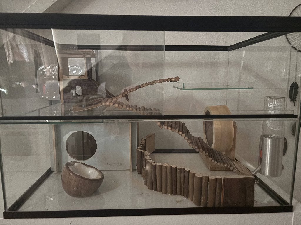 Terrarium voor kleine knaagdieren/reptielen/amfibieën, Kooi, Minder dan 75 cm, Ophalen, Minder dan 60 cm