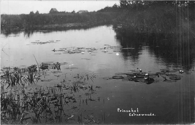 380-780-033 Eernwoude Princehof, Verzenden, Voor 1920, Friesland