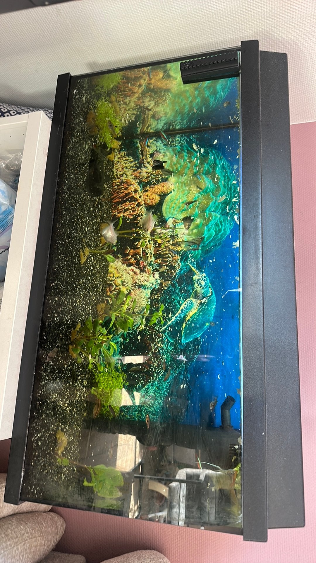 Aquarium juwel, Dieren en Toebehoren, Ophalen, Zo goed als nieuw