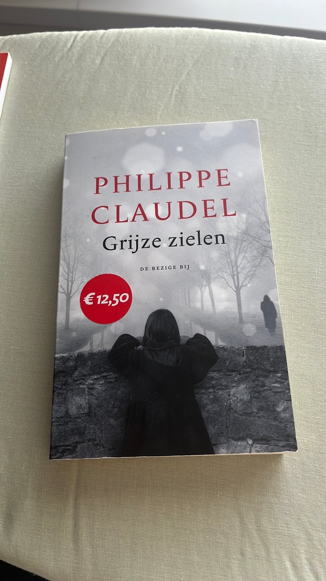 Grijze zielen, Ophalen of Verzenden, Zo goed als nieuw