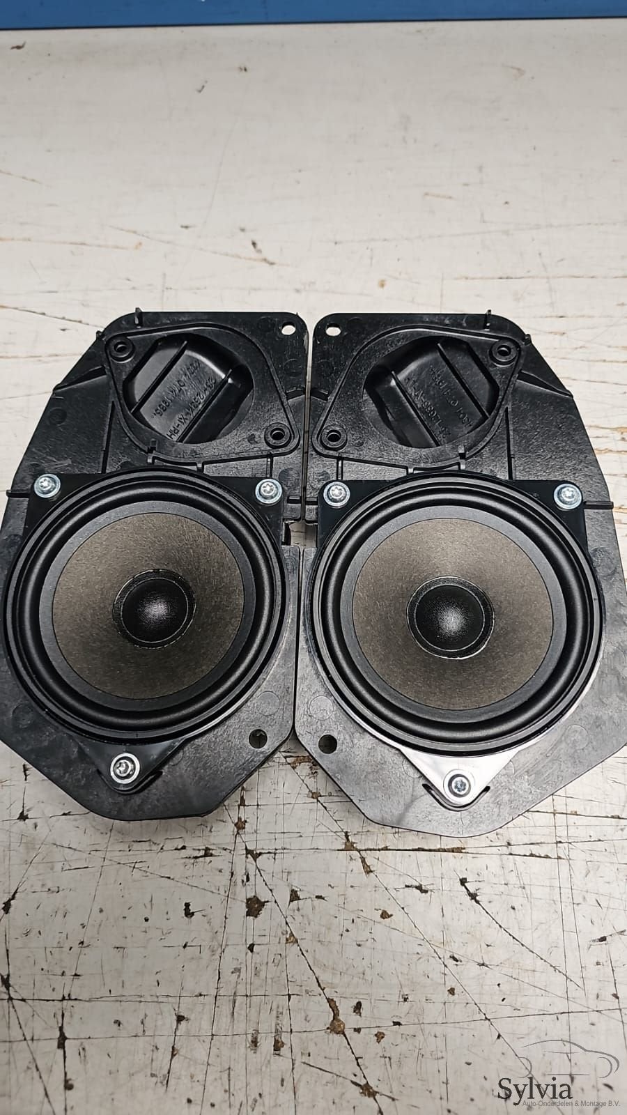 Dak hemel speaker set achterzijde BMW 5 serie E60 E61 + LCi, Auto diversen, Autoradio's, Ophalen of Verzenden, -, -, -