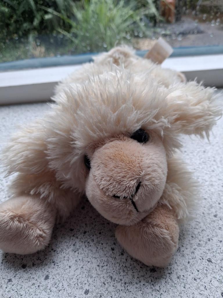 Schaap merk Egmont Toys meet liggend ca 25 cm, Overige typen, Wasbaar, Ophalen of Verzenden, Zo goed als nieuw
