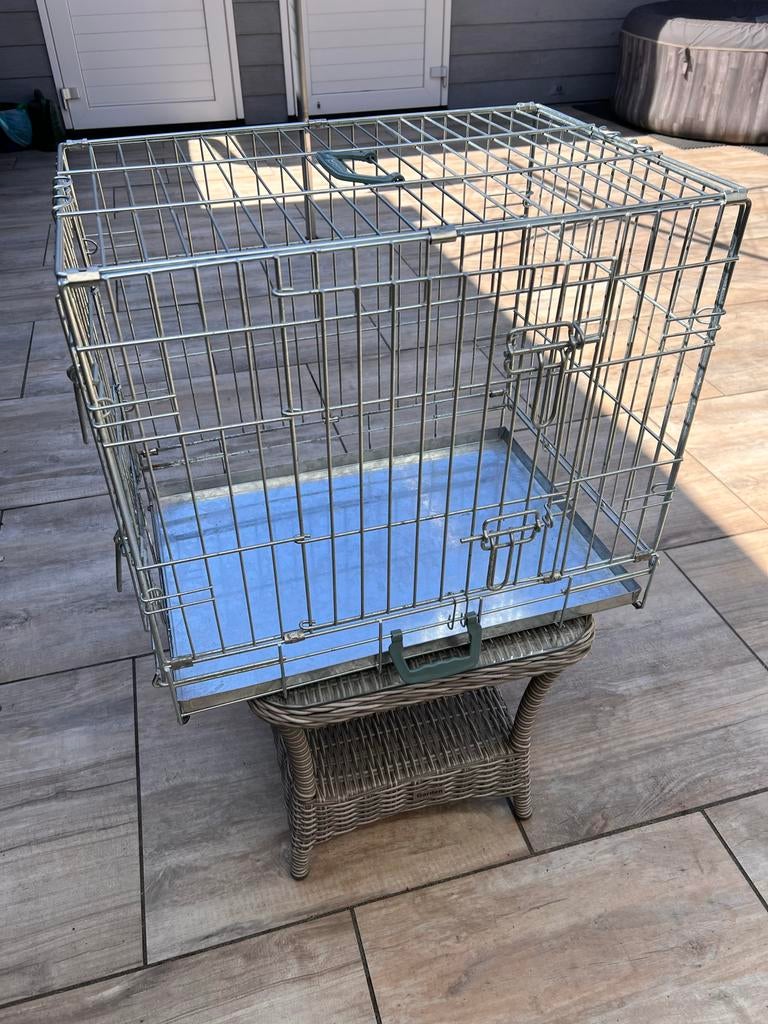 Honden bench 59x42x44 (lxbxh), Ophalen, Zo goed als nieuw