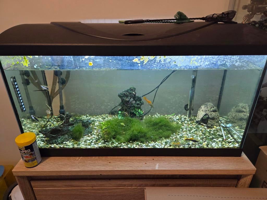 Aquarium compleet 120 liter 80,5x30,5x46cm, Ophalen, Gebruikt, Gevuld zoetwateraquarium, Verwarming