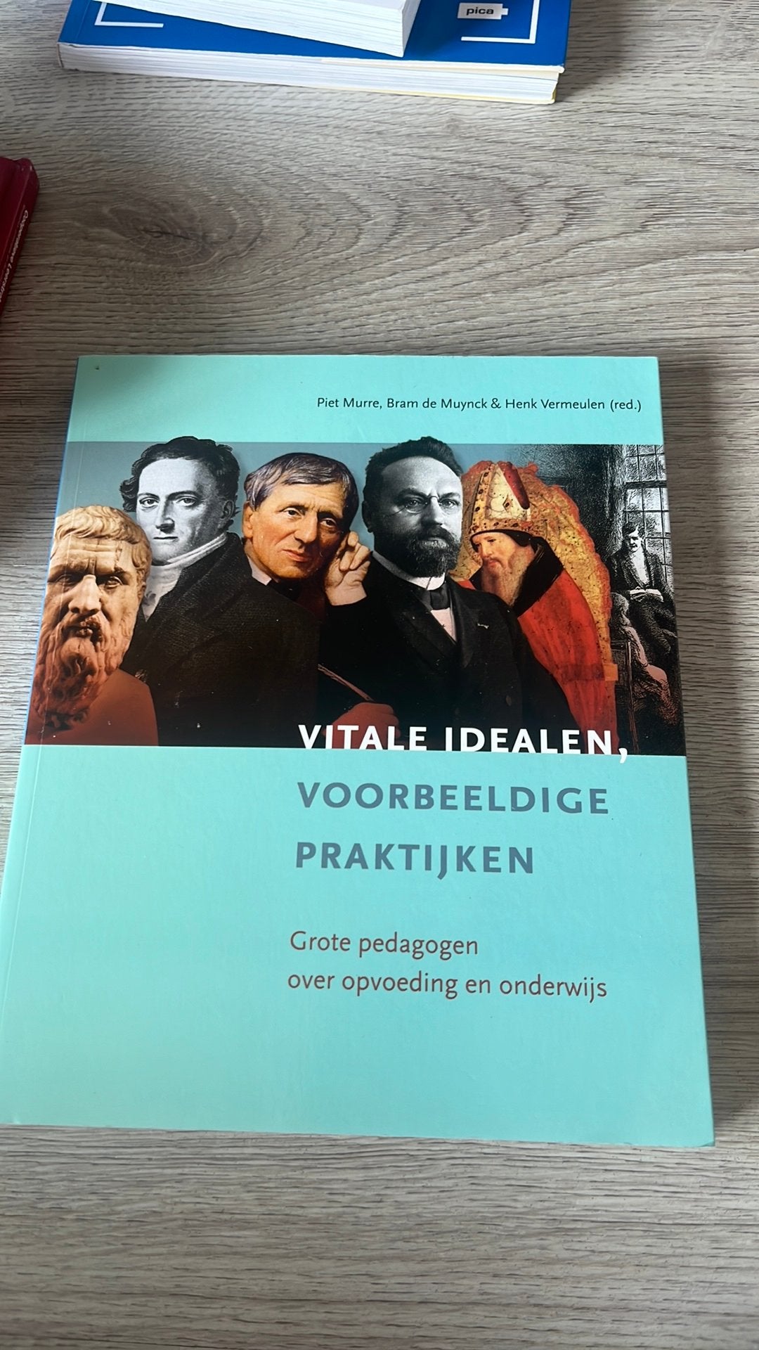 Vitale idealen, voorbeeldige praktijken, Ophalen of Verzenden, Zo goed als nieuw