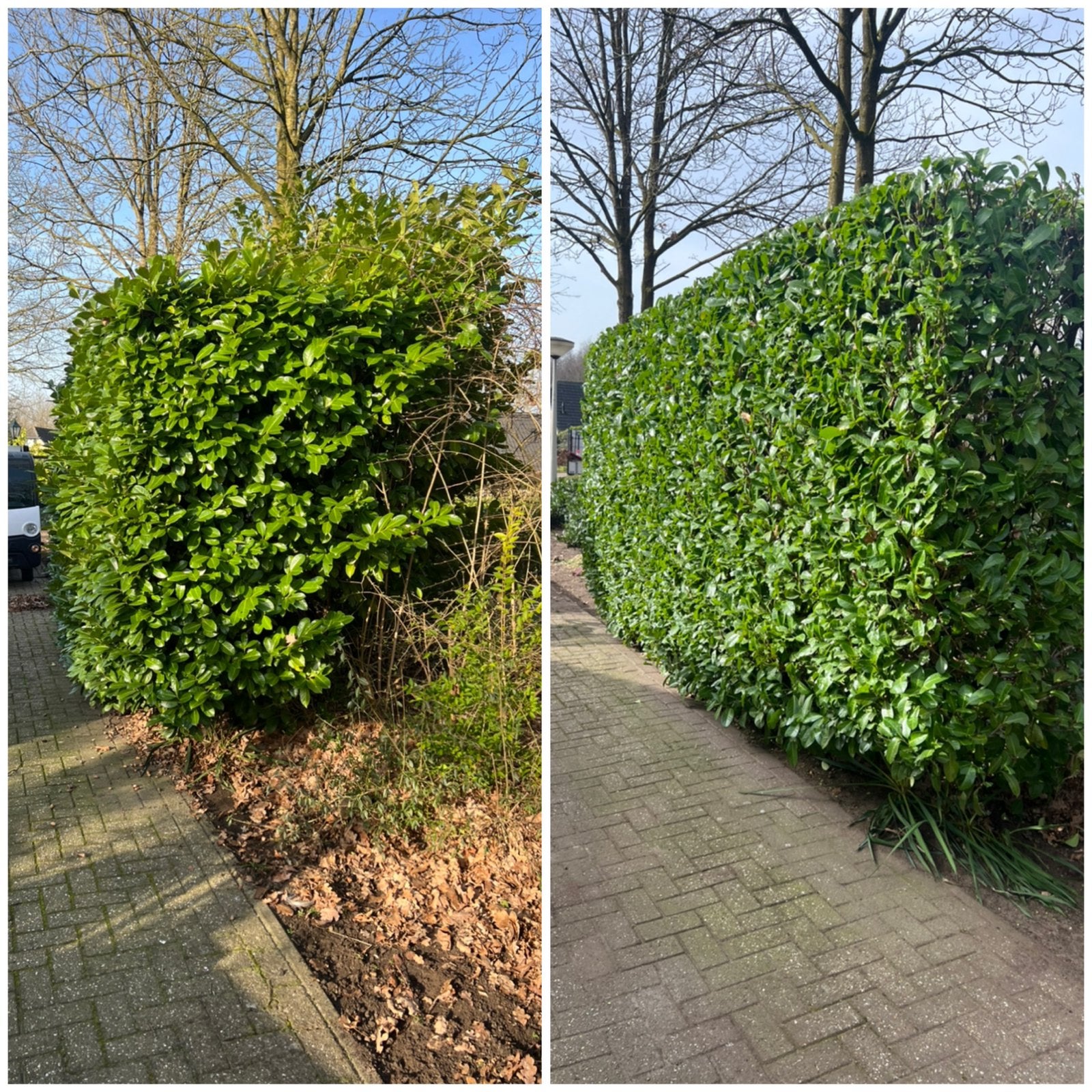 Hovenier/tuinman aangeboden, Diensten en Vakmensen, Tuinmannen en Stratenmakers, Tuinonderhoud of Snoeiwerk