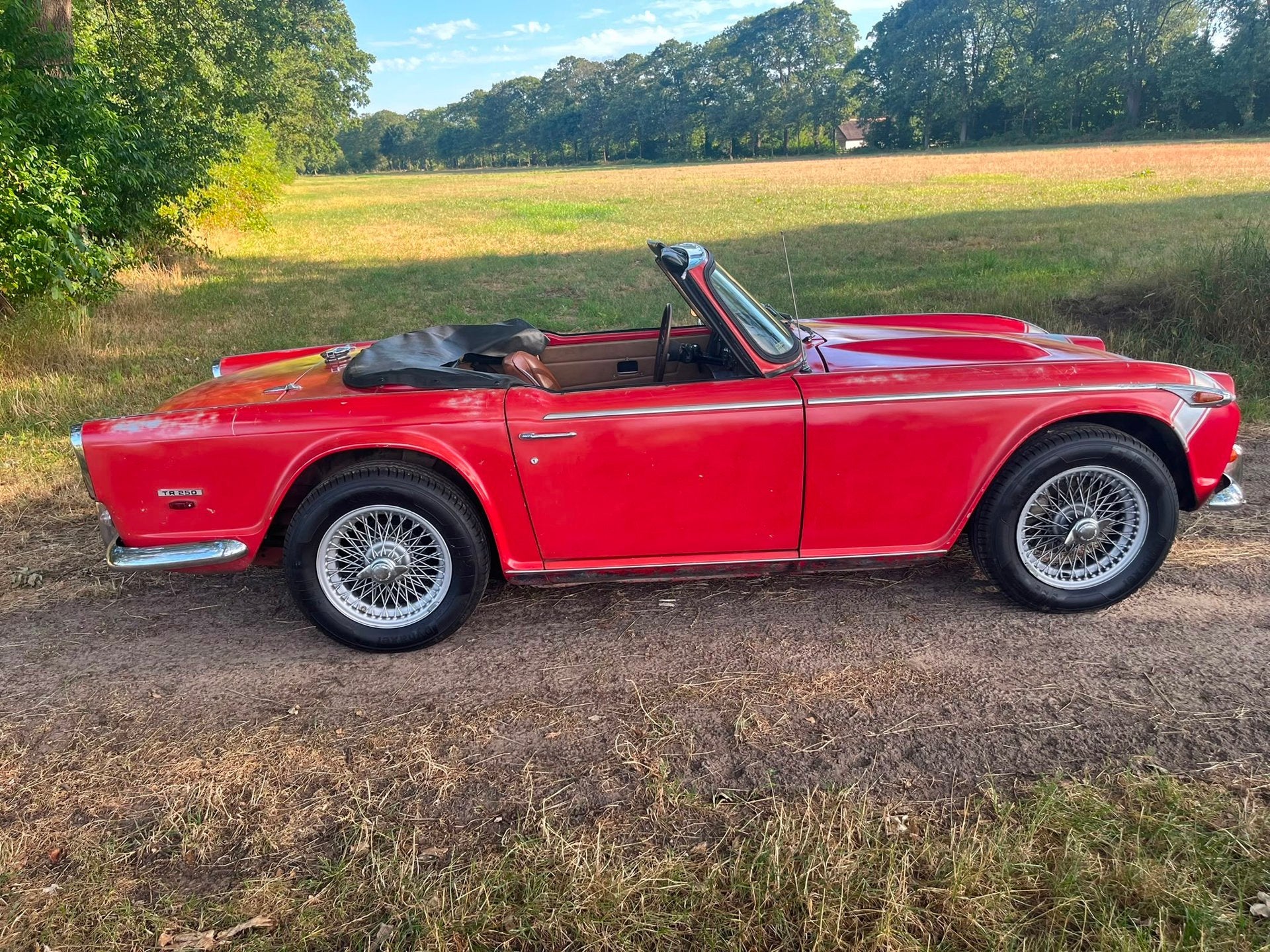 Triumph TR250 Gereviseerde motor, foto 7
