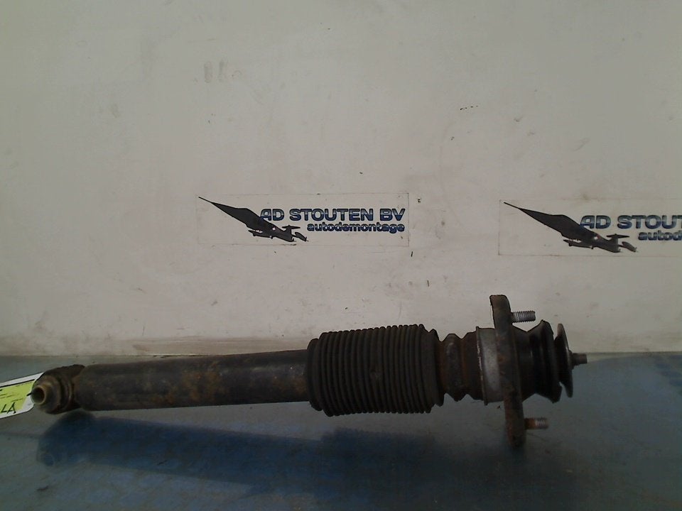 Schokbreker Links Achter BMW X5 (E53) (2003-12/2006-12), Gebruikt, Petuelring 130, München 80809, , Duitsland, BMW, Bayerische Motoren Werke AG