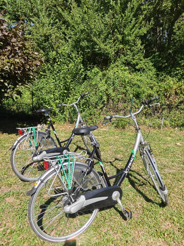 2 Lichte dames stadsfietsen framemaat 55cm, 53 tot 56 cm, Ophalen, Zo goed als nieuw, Overige merken