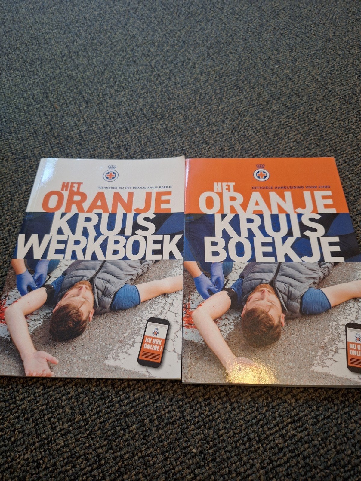 Het Oranje Kruis Boekje + Werkboek EHBO, Boeken, Studieboeken en Cursussen, Zo goed als nieuw, Overige niveaus, Gamma, Ophalen of Verzenden