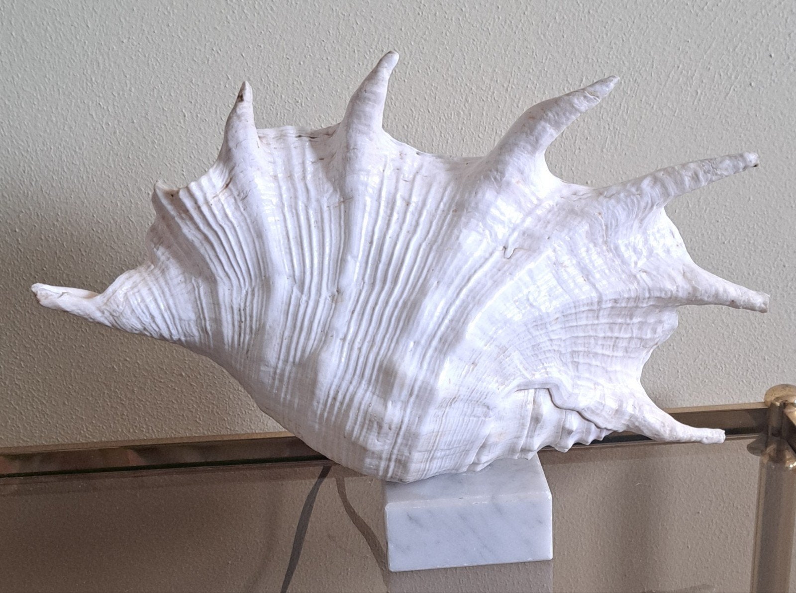 Vintage schelp lamp tafellamp, Huis en Inrichting, Ophalen of Verzenden, Vintage