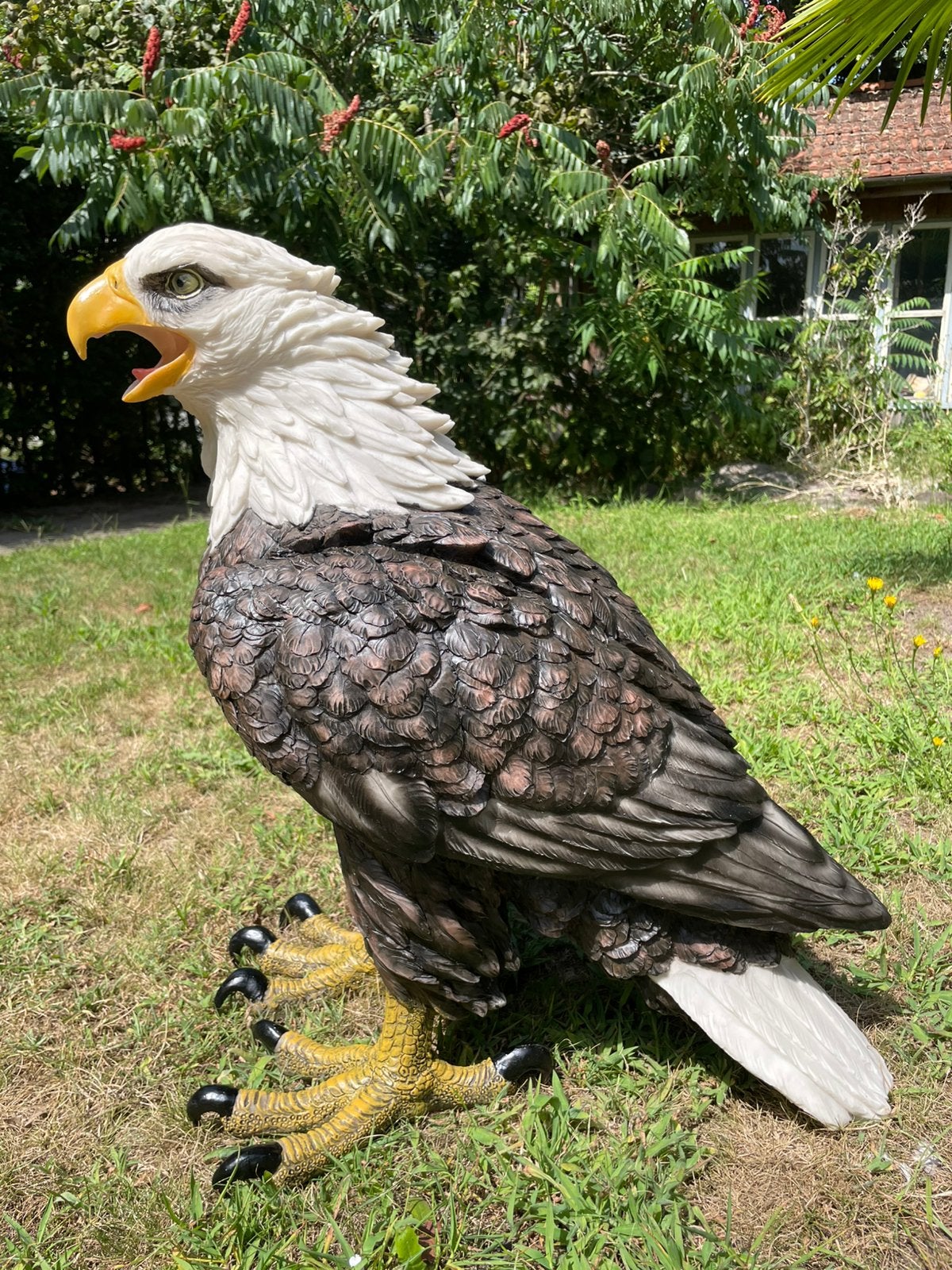 Arend adelaar beeld tuin bos terras natuur, Ophalen, Nieuw, Kunststof, Dierenbeeld