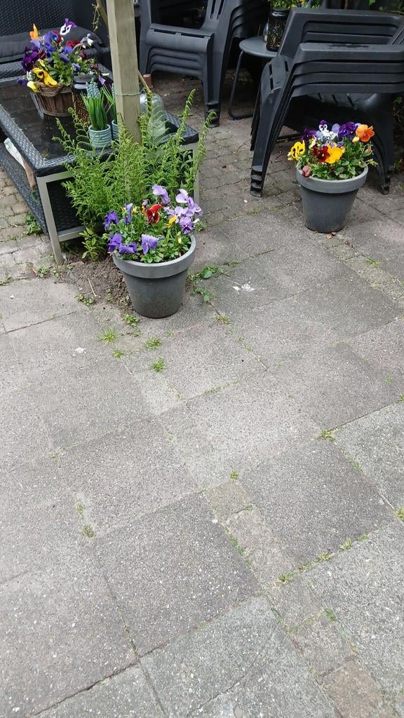 Gratis betontegels/stoeptegels, koppelstones/cobblestones, Tuin en Terras, Ophalen, Gebruikt, Beton, Terrastegels