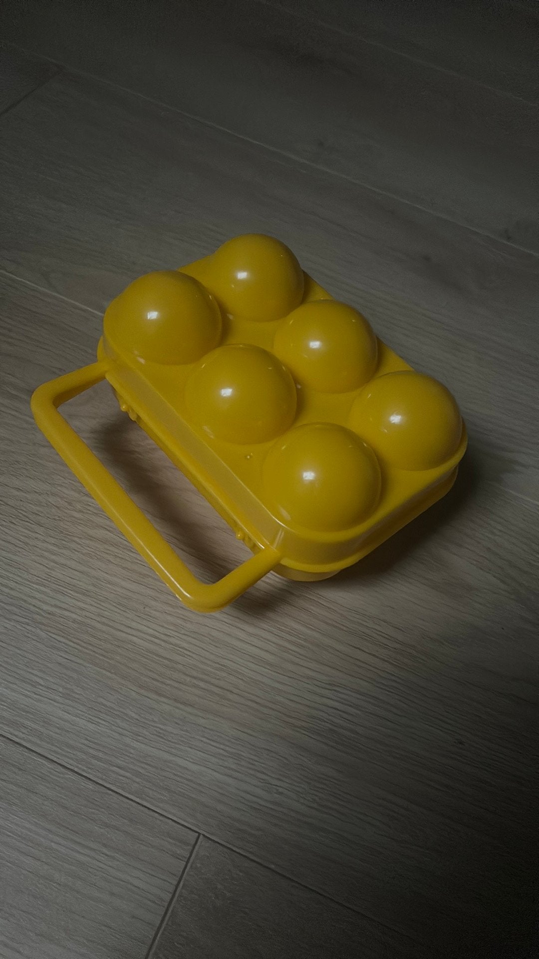 Kunststof eierdoos, Ophalen of Verzenden, Zo goed als nieuw