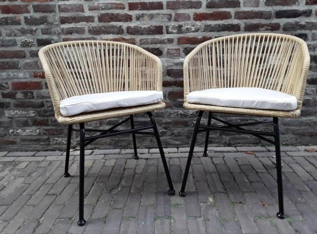 Set van 2 tuin stoelen met metalen onderstel, Ophalen, Twee, Zo goed als nieuw, Metaal
