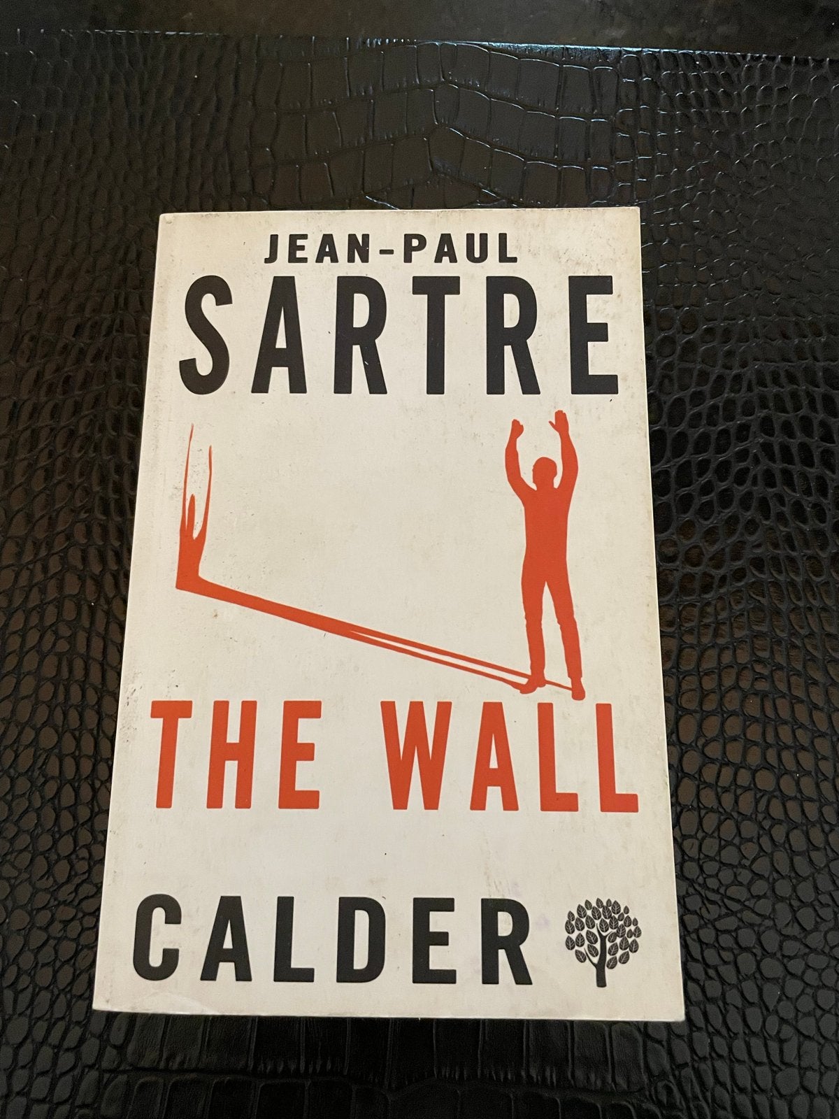 The Wall - Jean-Paul Sartre (Existentialistische Klassieker), Ophalen of Verzenden, Gelezen, Europa overig