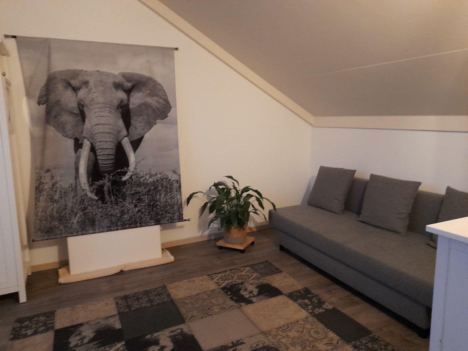 Wandkleed met olifant - Zwart-wit, Ophalen, Zwart, Nieuw, Met ophangsysteem