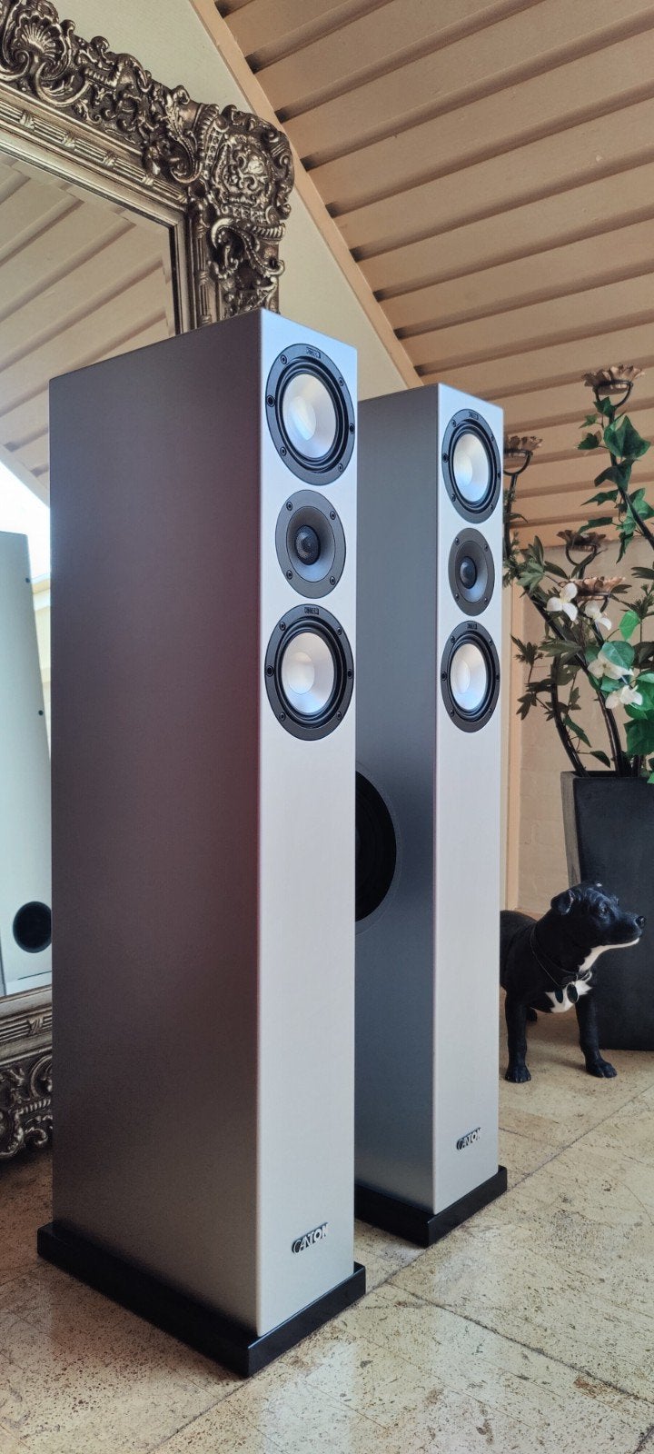 Canton Karat 770 DC - Zuilspeaker Silver Grey., Stereo speakers, Ophalen of Verzenden, Zo goed als nieuw, 150 watt of meer